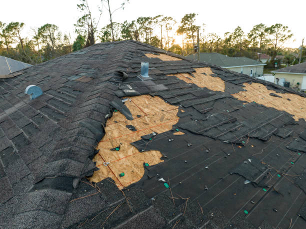 Best Sheet Metal Roofing  in Tucson Mountains, AZ